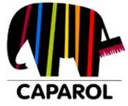 Caparol (DAW SE)